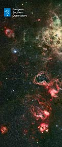 Tarantula Nebula - 1 Exhibition Panel (standard, International)