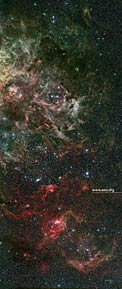 Tarantula Nebula - 2 Exhibition Panel (standard, International)