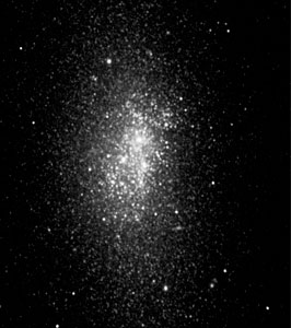 Big Stellar Cluster in the Blue Dwarf Galaxy NGC 5253