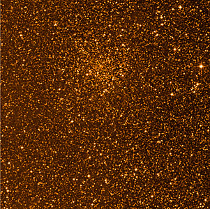 The Cluster Collinder 261