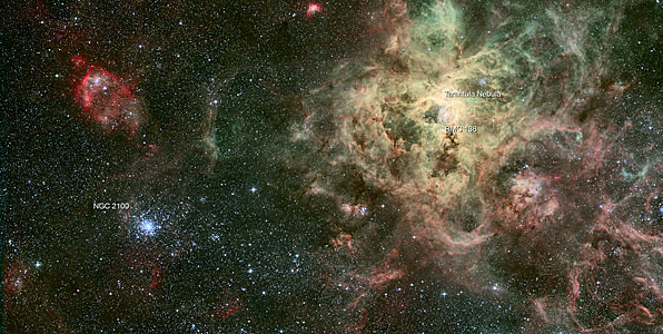 The star cluster NGC 2100 in context