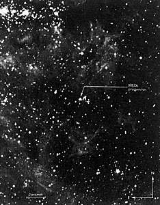 The star that exploded on February 23 in the Large Magellanic Cloud