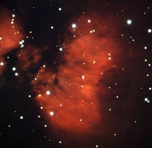 Red Cocoon Harbours Young Stars