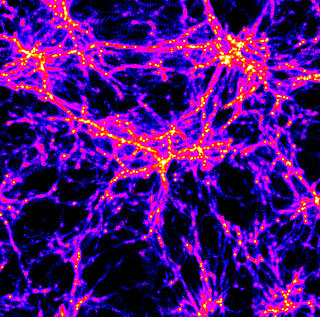 Web-like Structures in the Young Universe