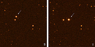 The Nearby Star CN Leonis
