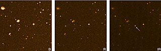 The brown dwarf LP 944-20