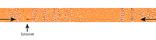 Spectrum of the Extremely Distant Galaxy z6VDF J022803-041618