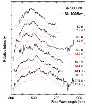 Visual Spectra of Hypernova in GRB 030329