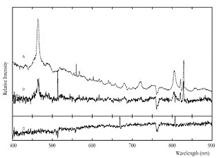Spectra of the RXS J1131-1231 Lensing System