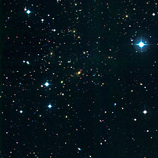 Cluster of Galaxies RXCJ1131.9-1955