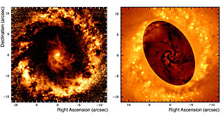Filamentary Structures in NGC 1097