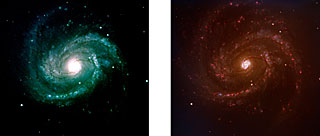 SN 2006X in Messier 100