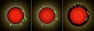 Evolution of the Mira-type Star S Orionis