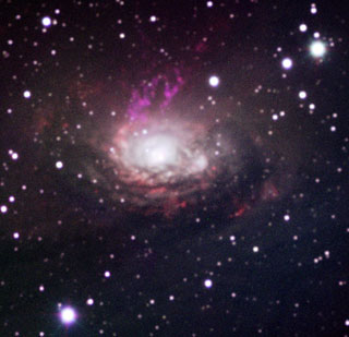 The Circinus Galaxy