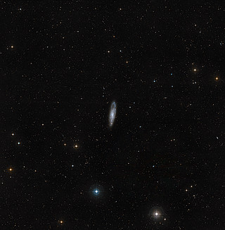 Wide-field view of the sky around NGC 247