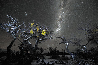 Winter starry landscape