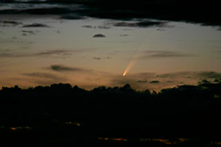 Comet McNaught