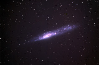 The Irregular Galaxy NGC 55