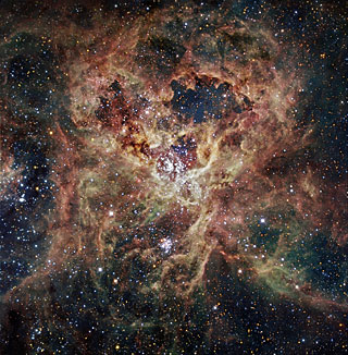The Tarantula Nebula