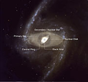 Structural components of a double-barred spiral galaxy