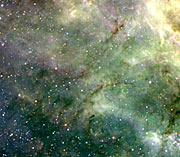 Filaments in the Tarantula Nebula