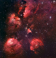 The Cat's Paw Nebula*