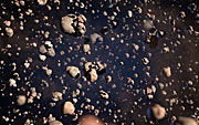 Rappresentazione artistica dei grani di polvere nel disco intorno a una nana bruna