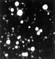Globular cluster Centauri observed with the ESO NTT
