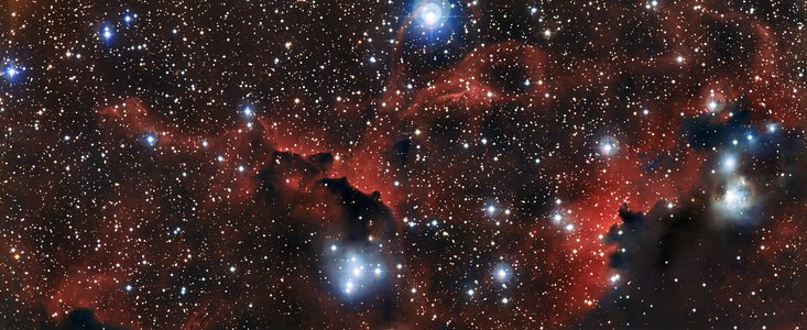 La brillante nube Sharpless 2-296, parte de la Nebulosa de la Gaviota