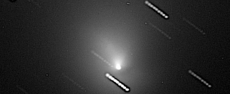 The near-nucleus region of comet Hale-Bopp