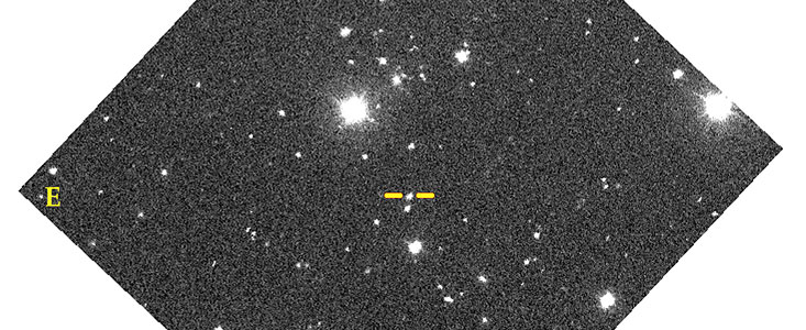 The brown dwarf KELU-1