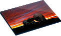 Mounted Images