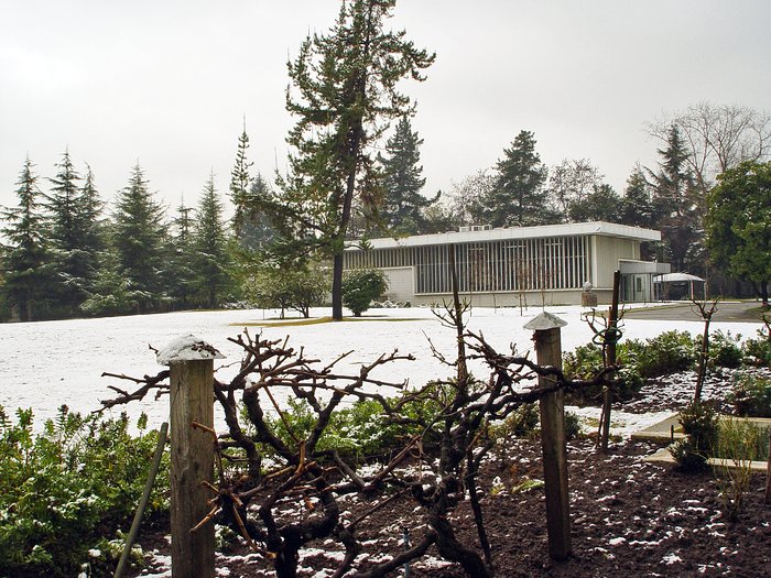 Snow-covered Vitacura premises