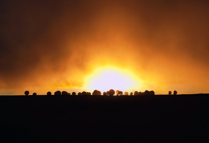 Fiery scene at ALMA