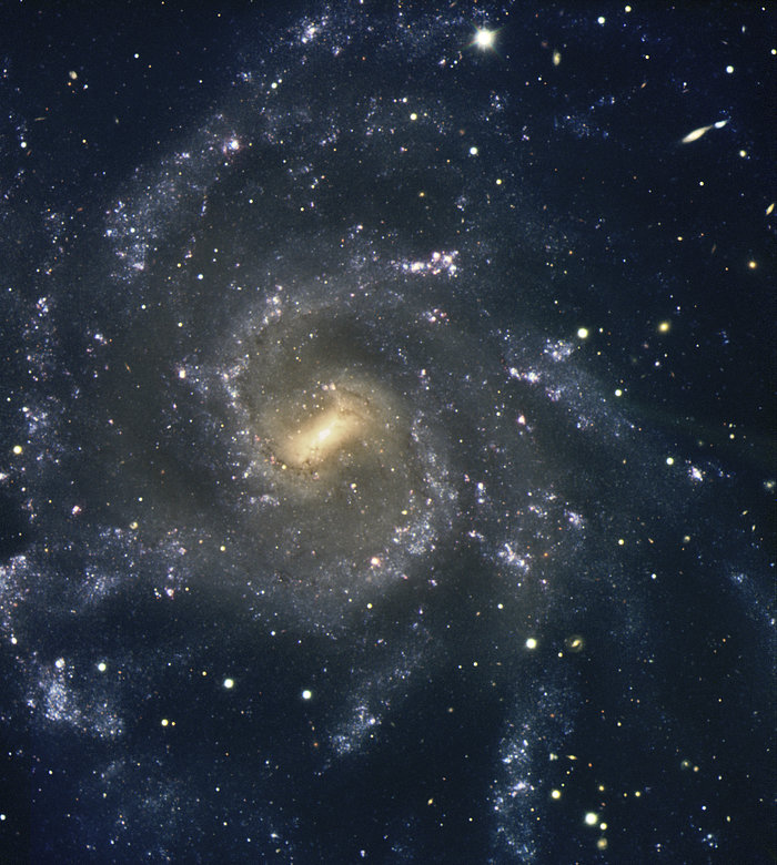 Wspaniała galaktyka spiralna NGC 7424