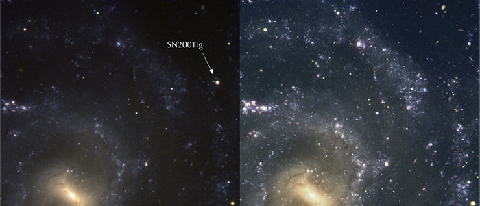 Spiral galaxy NGC 7424 and SN2001ig
