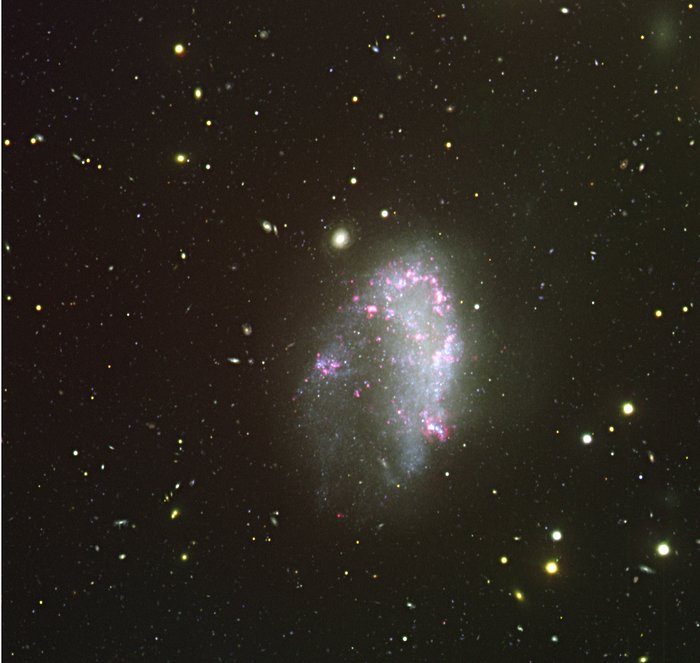 The irregular galaxy NGC 1427A
