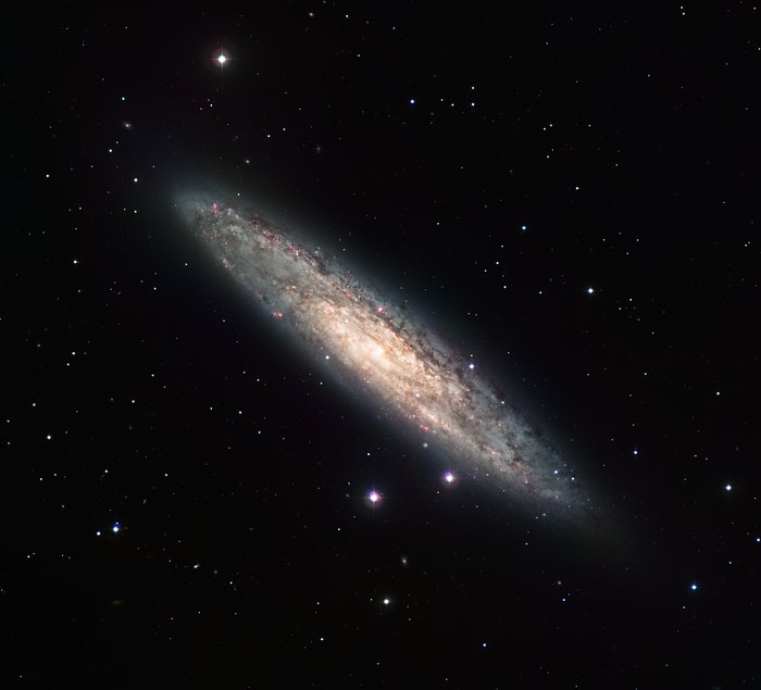 Die Spiralgalaxie NGC 253