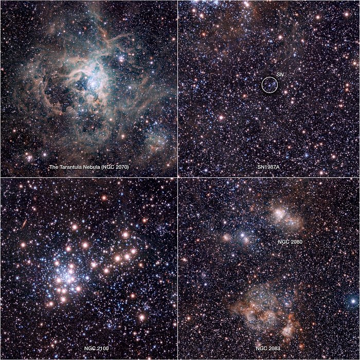 Extracts from the VISTA Magellanic Cloud Survey view of the Tarantula Nebula
