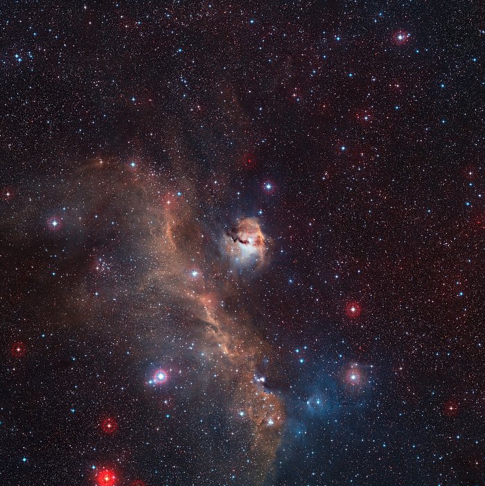 Vidvinkelbild av Måsnebulosan (IC 2177)