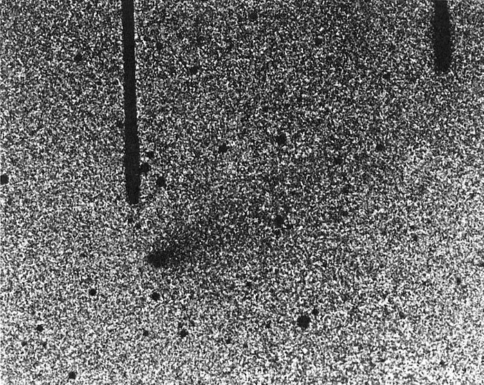 Immagine della cometa 
