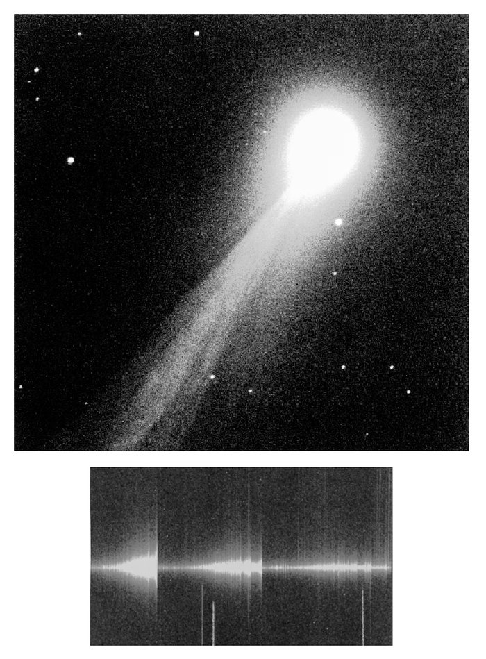 Osservazioni NTTT della cometa luminosa 1995 Q1 (Bradfield)