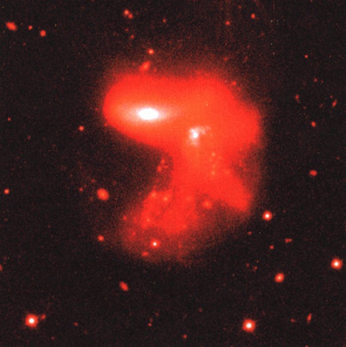 Giovani astronomi osservano con i telescopi ESO