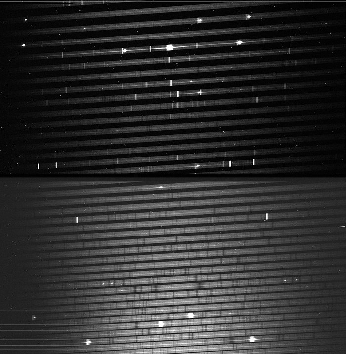 Echelle spectrum of SN1987A