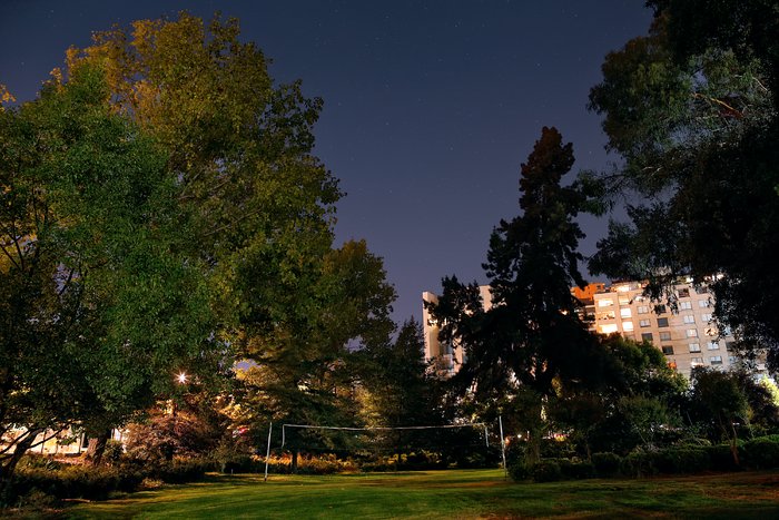 ESO Vitacura garden at night
