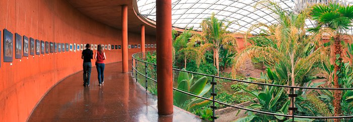 Oasis inside the Paranal Residencia