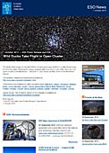 ESO Photo Release eso1430pl - Dzikie kaczki w locie przez gromadę otwartą gwiazd