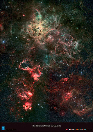 Poster: The Tarantula Nebula
