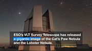 ESOcast 95 Light: Setkání kočky kosmické s humrem nebeským