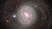 Panoramica di una nuova immagine di Messier 77